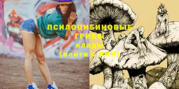 ГАЛЛЮЦИНОГЕННЫЕ ГРИБЫ Алзамай