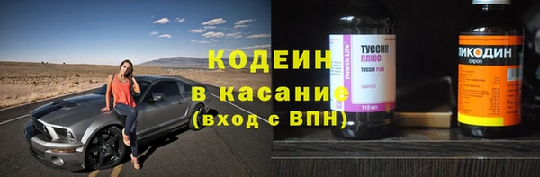 гашик Алексеевка