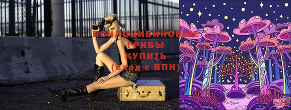 ГАЛЛЮЦИНОГЕННЫЕ ГРИБЫ Алзамай
