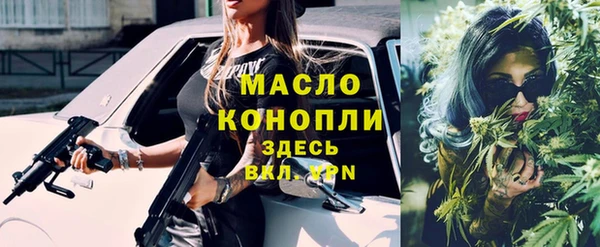 гашик Алексеевка