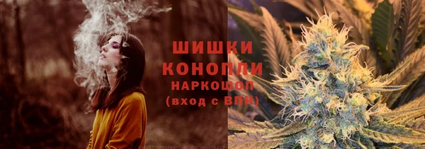 ГАЛЛЮЦИНОГЕННЫЕ ГРИБЫ Алзамай