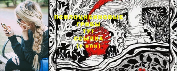 ГАЛЛЮЦИНОГЕННЫЕ ГРИБЫ Алзамай