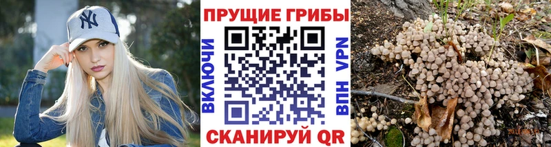 Галлюциногенные грибы Psilocybe mega ссылки Невинномысск
